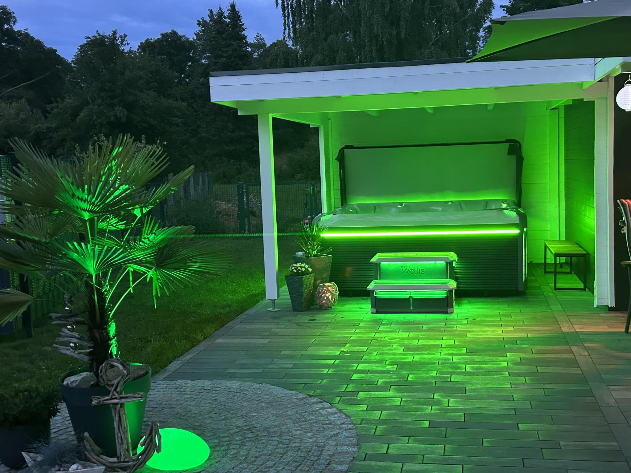 Can I Use Drained Hot Tub Water in My Garden? 1 Wellis Germany FB 46
